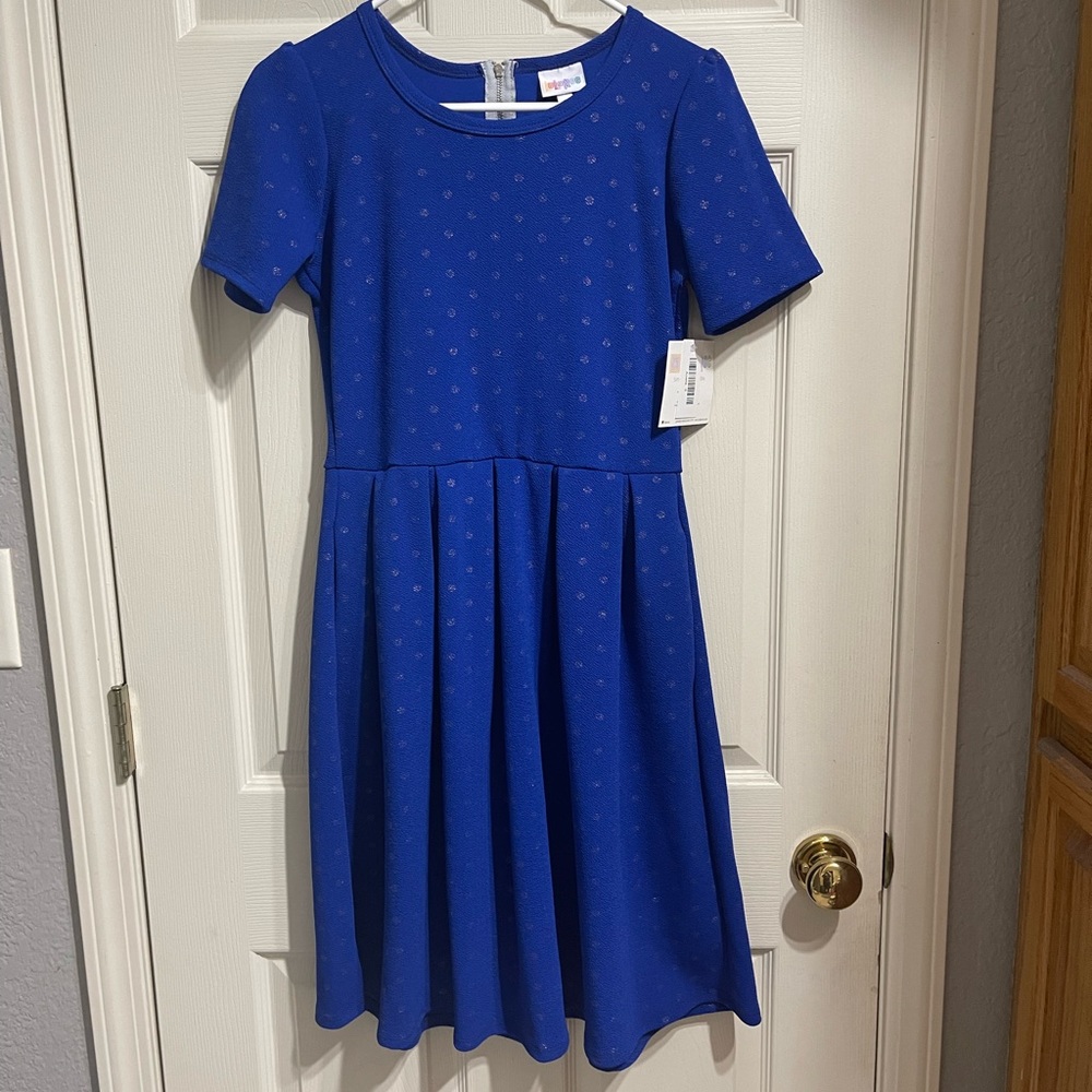NWT LuLaRoe Amelia Dress